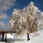 Heidehotel Hildfeld Winterberg
