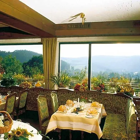 Heidehotel Hildfeld Hotel Winterberg