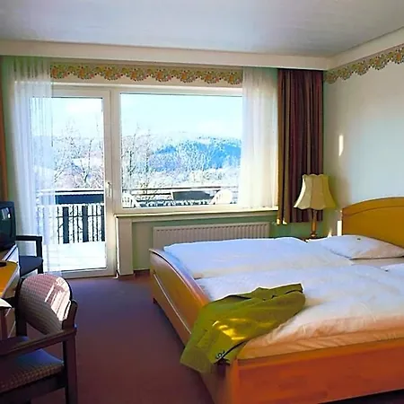 Hotel Heidehotel Hildfeld Winterberg