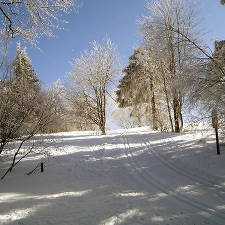 Heidehotel Hildfeld 3*