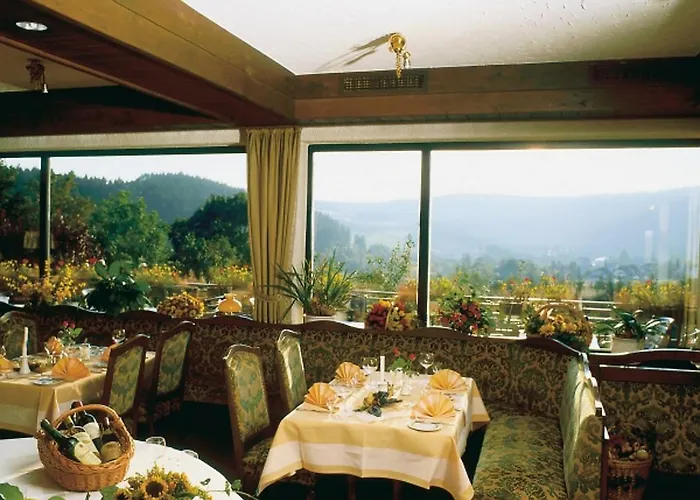 Heidehotel Hildfeld 3* Winterberg