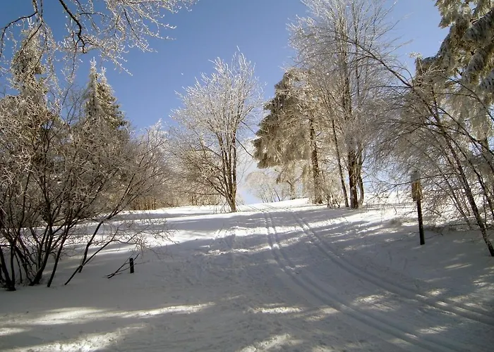 Heidehotel Hildfeld 3*