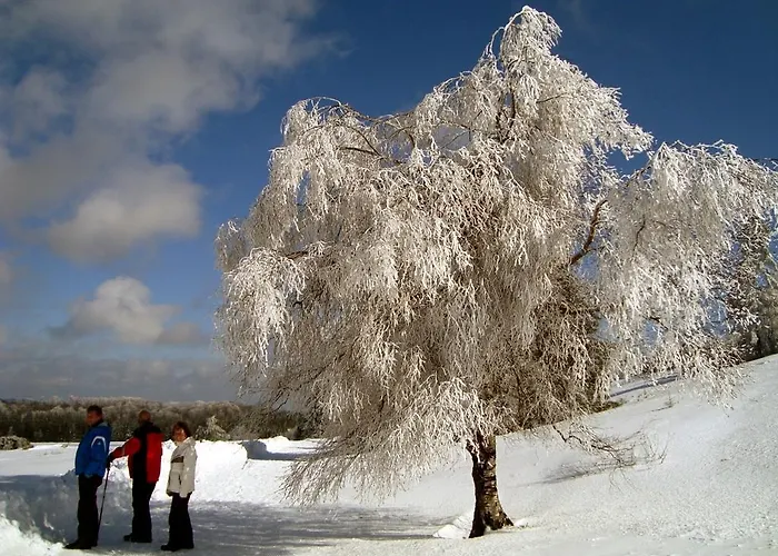 Heidehotel Hildfeld Winterberg